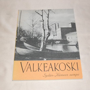 Valkeakoski Sydän-Hämeen sampo
